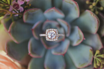 Top view of a diamond engagement ring on a green succulent