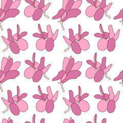 Pink magnolia flowers. Hand-drawn Seamless vector pattern on a white background. Botanical illustration for fabric, paper, wallpaper design