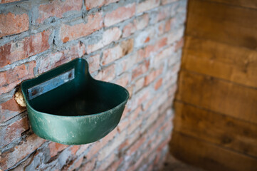 Fototapeta premium Plastic horse feeder bucket on brick wall in stable, selective focus,