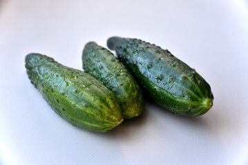 Three green fresh cucumbers on a white background