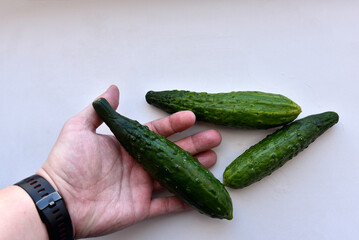 Three green fresh cucumbers on a white background