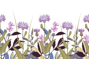 Vector floral seamless pattern, border. Horizontal panoramic design with purple cornflowers.