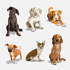 Collection with cute dogs of different breeds. Set of funny dogs, on a white background. Furry human friends home animals