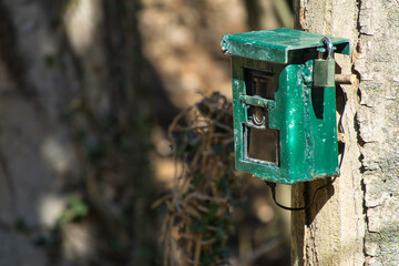hunting camera, camera attached to a tree, used by hunters to spy wild animals