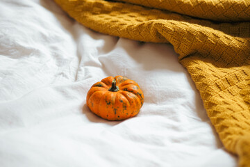 Closeup of a single orange pumpkin on a bed- white bedsheets, yellow ochre knitted blanket
