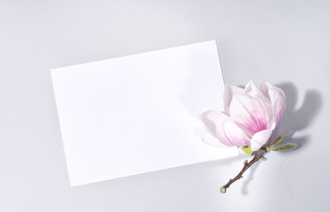 Magnolia springtime minimalistic still life. Wedding stationery mock-up scene with magnolia flower and blank greeting card. Zen natural concept, copy space