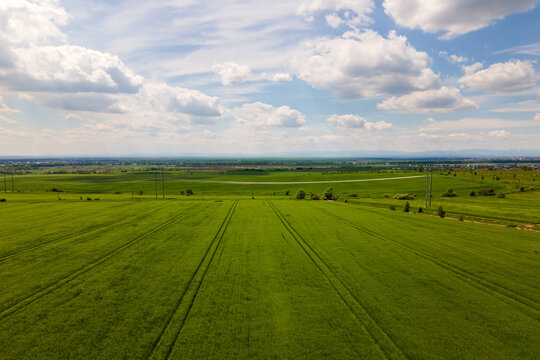 Aerial landscape view of green cultivated agricultural fields with growing crops on bright summer day © bilanol
