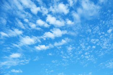 Blue sky and white cloud.
