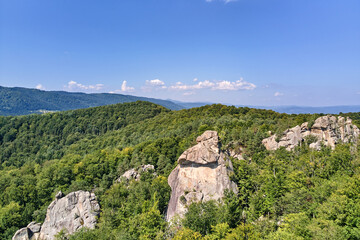 Aerial view of bright landscape with green forest trees and big rocky boulders between dense woods in summer. Beautiful scenery of wild woodland