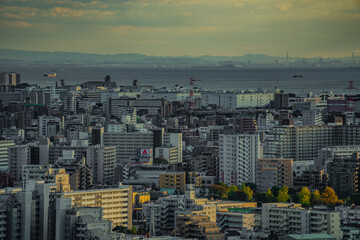 夕暮れに照らされた東京の町並み