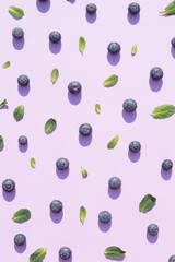 Blueberries and mint leaf arranged in a pattern on a purple background. Berry fruit wallpaper.