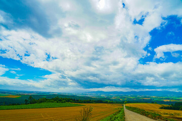 Obraz premium 就実の丘（北海道旭川）