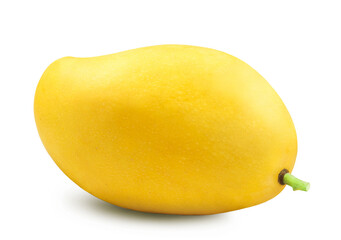 Mango isolated. One ripe sweet yellow mango on a white background.