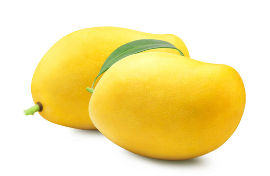 Mango Isolated. Yellow Mango Half On A White Background.