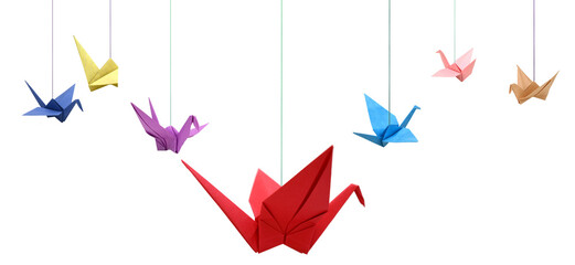 Hanging of colorful origami birds on white