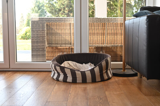 An Empty Dog Cat Bed Next To Window In Home Interior With Copy Space