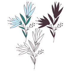 Hand drawn flower and branches doodle, Vector illustration