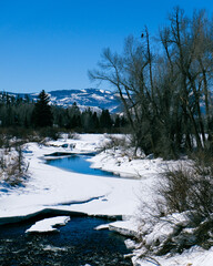 Vertical shot of a river flowing in the woods in winter on blue sky background