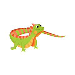 Isolated green iguana animated animals jungle vector illustration