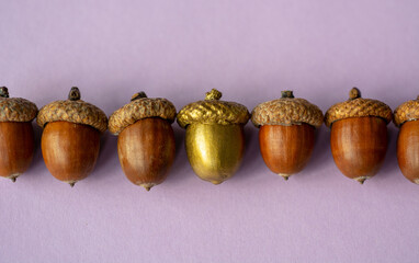 colorful acorn against of ordinary acorns abstract vision be different, unique personality or...