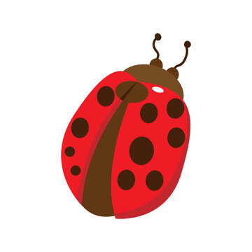 Isolated red ladybug animated animals jungle vector illustration