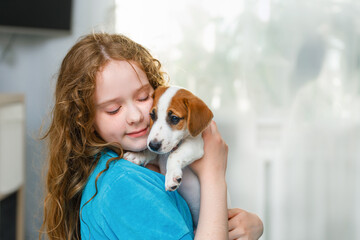 Little girl playing with puppy jack russell.