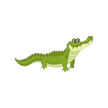 Isolated green alligator animated animals jungle vector illustration