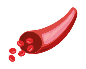 artery blood human part