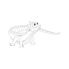 Isolated iguana draw animated animals jungle vector illustration