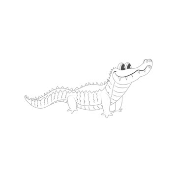 Isolated Alligator Draw Animated Animals Jungle Vector Illustration