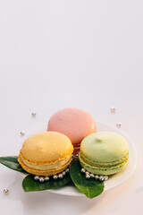 Many cute colors Assortment of pastel colored macaron of different flavors. Colorful macarons in white plate. Macarons dessert