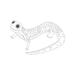 Isolated salamander draw animated animals jungle vector illustration