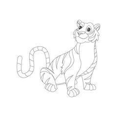 Isolated tiger draw animated animals jungle vector illustration