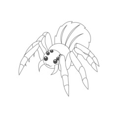 Isolated spider draw animated animals jungle vector illustration