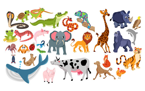 Set group color animated animals jungle vector illustration