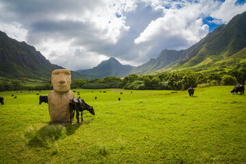 Magnificent view of the valley at Kualoa Ranch where Jurassic Park was filmed, Oahu, Hawaii, USA