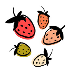 Ink hand drawn illustration of strawberries. Summer time poster