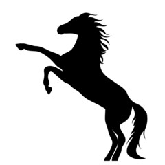 horse black silhouette isolated vector - obrazy, fototapety, plakaty