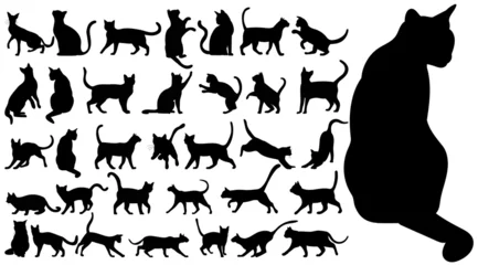 Tuinposter cats set black silhouette isolated vector © zolotons