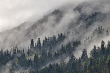 Shot of trees on mountain with clouds and foggy sky