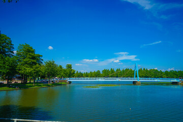 水元公園の水元大橋