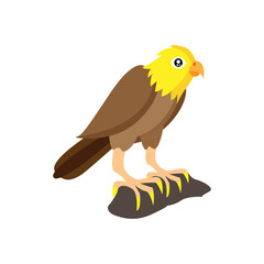 Isolated eagle bird animal fly nature wild vector illustration