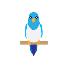 Isolated blue bird animal fly nature wild vector illustration