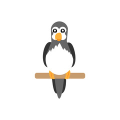 Isolated grey bird animal fly nature wild vector illustration