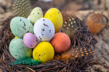 Naklejka na ściany i meble Easter candy eggs in different colors in nest Easter holiday candy concept.