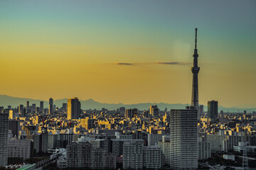 Obraz premium 東京スカイツリーと夕暮れの空