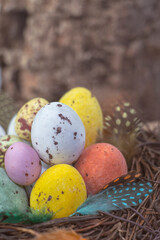 Easter  candy eggs in different colors in nest Easter holiday candy concept.
