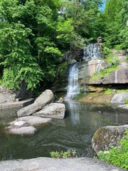 waterfall in the forest