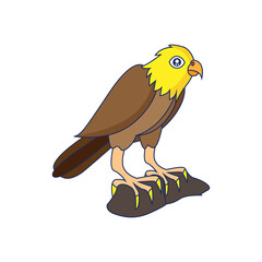 Isolated eagle bird animal fly nature wild vector illustration