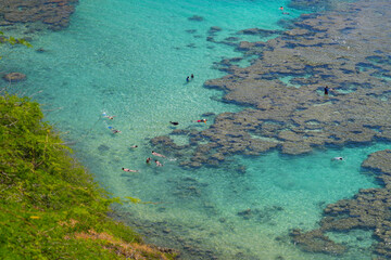 Coral reef in the Hanauma Bay Nature Preserve on O'ahu island in Hawaii, United States